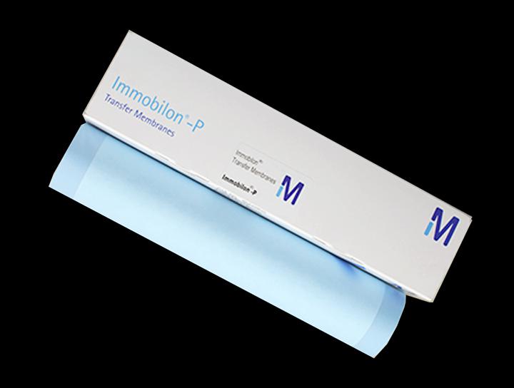 PVDF膜(进口原装, 26.5cm×3.75m/卷, 0.45μm)